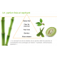 Lait quotidien apaisant mains et corps Herbal Aloe - Herbalife
