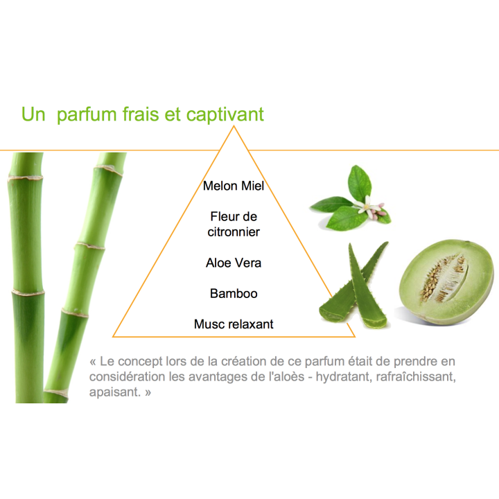 Savon mains et corps à l'Aloe Vera Herbal Aloe - Herbalife