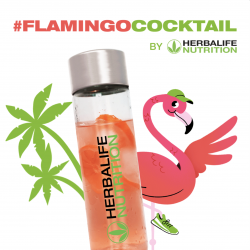 Pack boisson Cocktail de l'été Flamingo original Aloé Herbalife