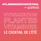 Pack boisson Cocktail de l'été Flamingo original Aloé Herbalife