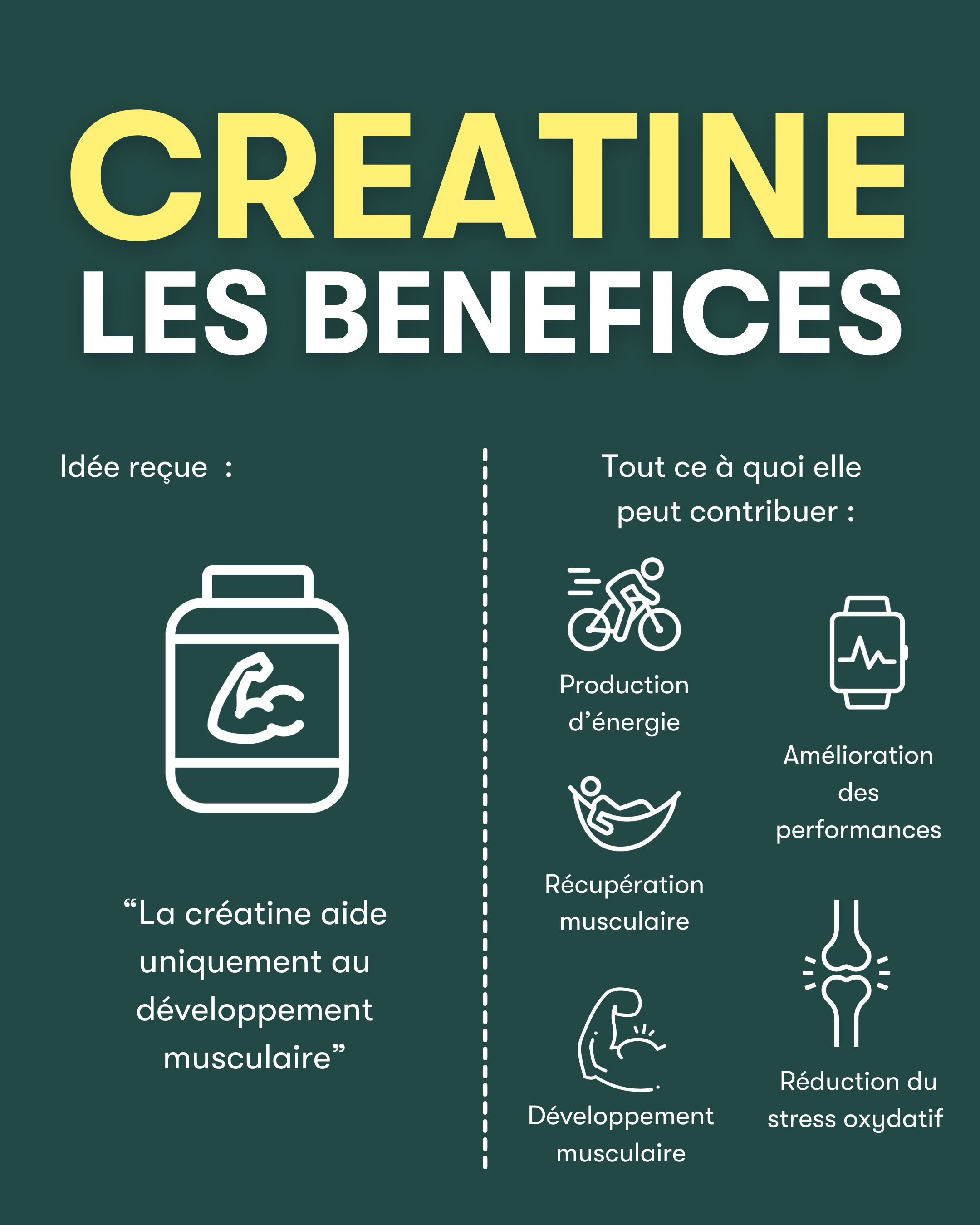 Creatine_Herbalife_H24_benefices